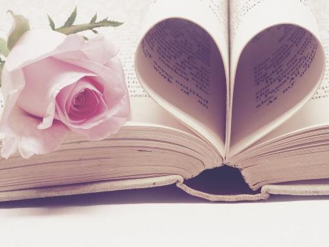 Book folded into a heart shape with a fresh rose on the page.