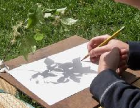 shadow art