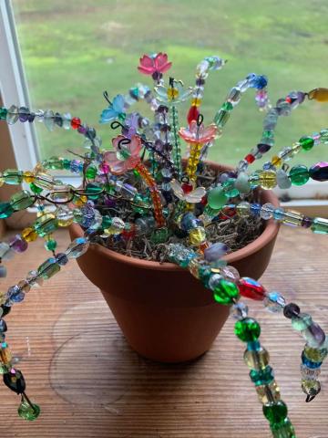 Create a plant you can't kill