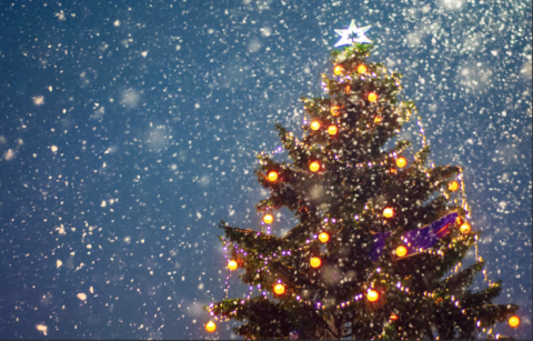Christmas Tree lit up with flurrying snow