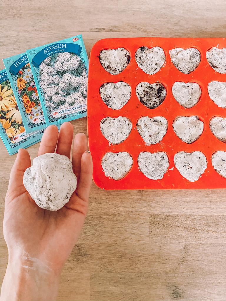 seed bombs in a tray