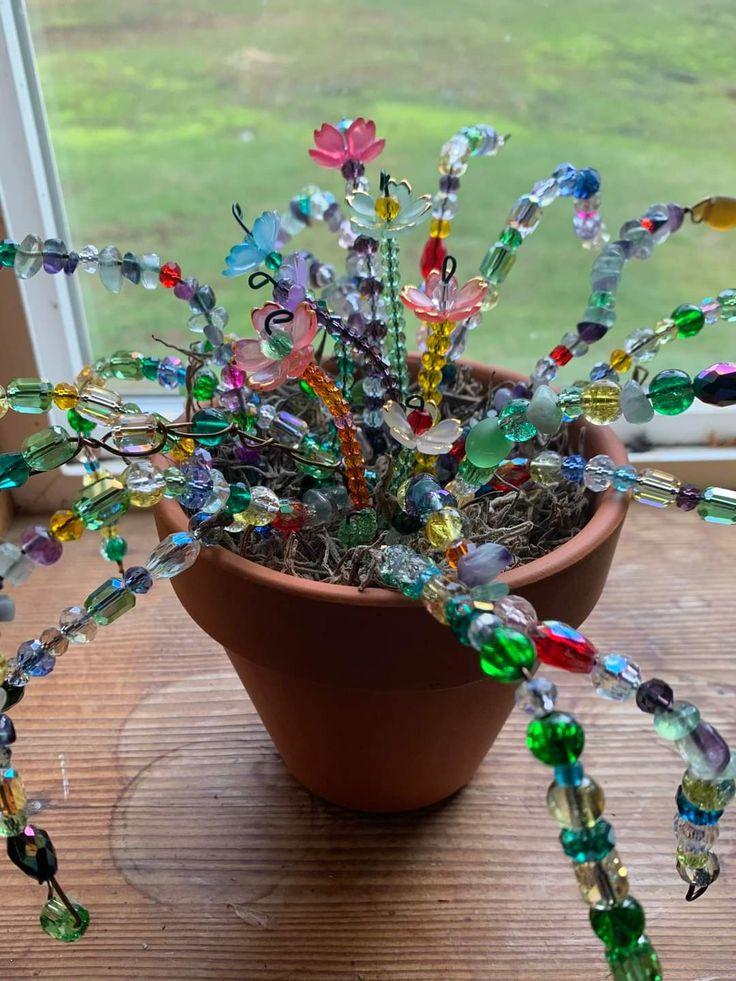 Create a plant you can't kill